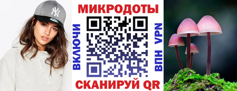 Купить где  Дагестанские Огни  Псилоцибиновые грибы Psilocybe 